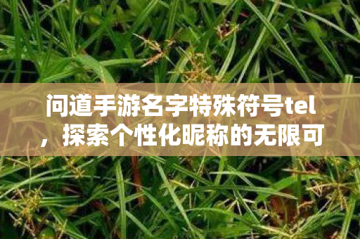问道手游名字特殊符号tel，探索个性化昵称的无限可能，探索个性化昵称，问道手游名字特殊符号tel的无限创意