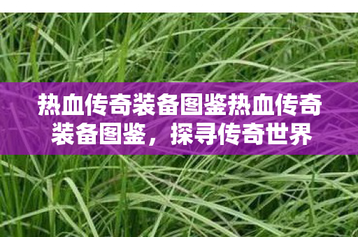 热血传奇装备图鉴热血传奇 装备图鉴图片