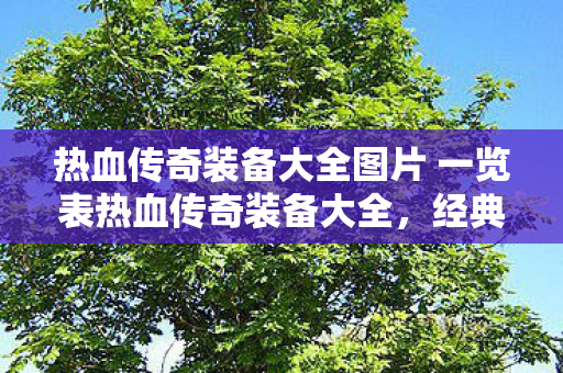 热血传奇装备大全图片 一览表热血传奇装备大全图片