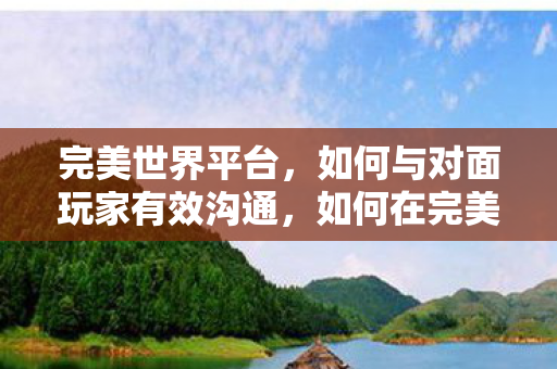 完美世界平台，如何与对面玩家有效沟通，如何在完美世界平台与对手有效沟通？