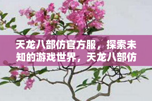 探索未知游戏世界的奇妙之旅图片