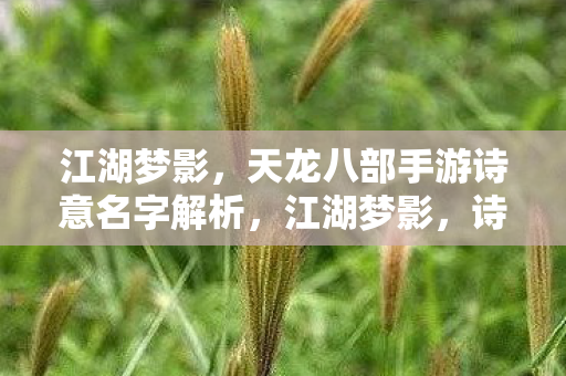 江湖梦影，天龙八部手游诗意名字解析，江湖梦影，诗意名字解析，探寻天龙八部手游的江湖韵味