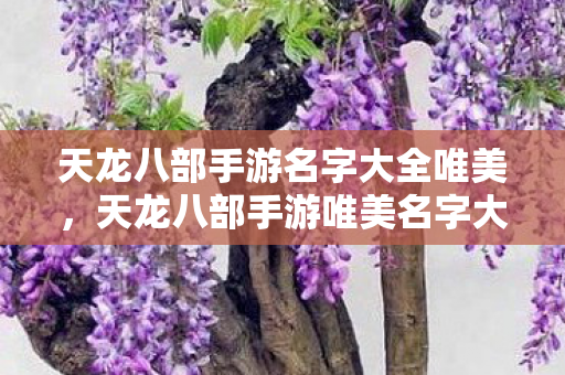 天龙八部手游名字大全唯美图片