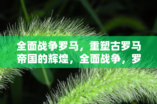 全面战争罗马，重塑古罗马帝国的辉煌，全面战争，罗马再现古罗马帝国辉煌