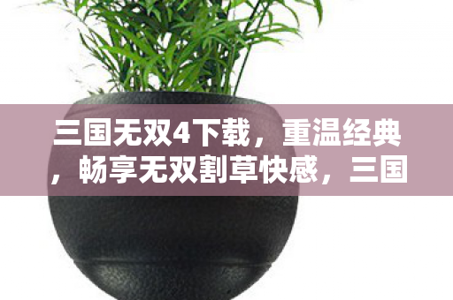 三国无双4下载,重温经典,畅享无双割草快感,三国无双4下载,重温经典,畅享无双割草快感 三国无双4下载,重温经典,畅享无双割草快感,三国无双4下载,重温经典,畅享无双割草快感