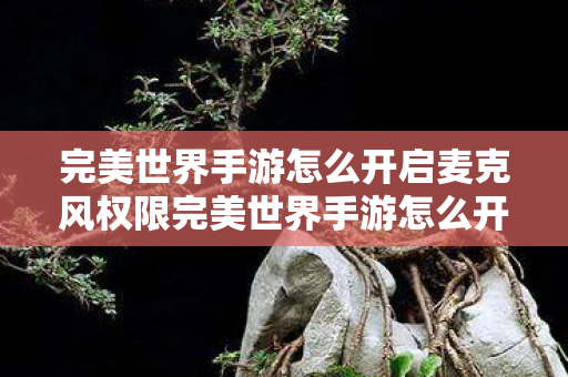 完美世界手游怎么开启麦克风权限完美世界手游怎么开启麦克风，如何在完美世界手游中开启麦克风权限