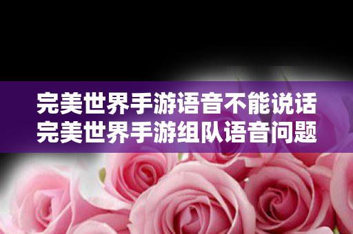 完美世界手游语音不能说话完美世界手游组队语音问题解析，为何队友听不到你说话？解析，完美世界手游组队语音问题，为何队友听不到你说话？