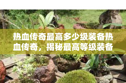 热血传奇最高多少级装备热血传奇，揭秘最高等级装备的传奇之路，揭秘热血传奇最高等级装备的传奇之路