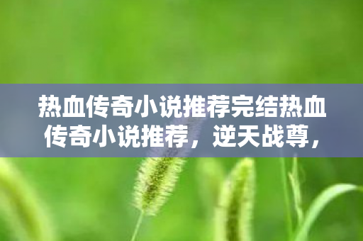 热血传奇小说推荐完结热血传奇小说推荐，逆天战尊，逆天战尊，热血传奇小说推荐