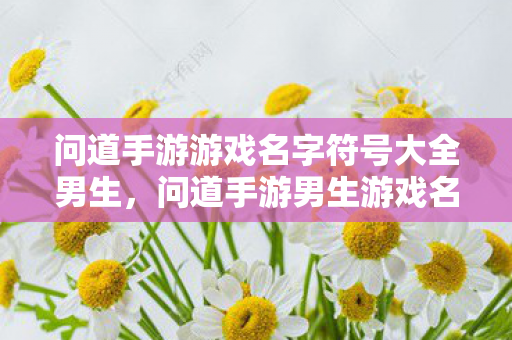 问道手游游戏名字符号大全男生图片
