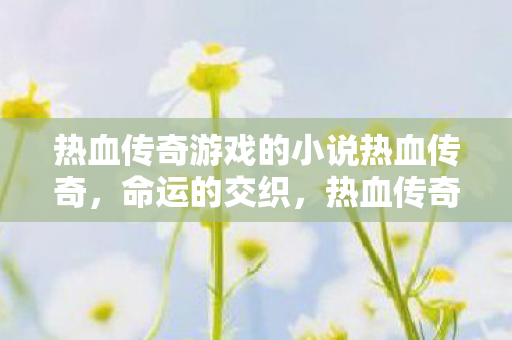热血传奇游戏的小说热血传奇，命运的交织，热血传奇，命运的交织