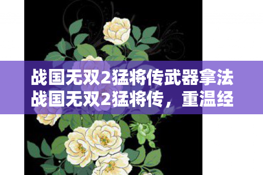 战国无双2猛将传武器拿法战国无双2猛将传，重温经典，探索无双世界的魅力，战国无双2猛将传重温经典，探索无双世界的魅力