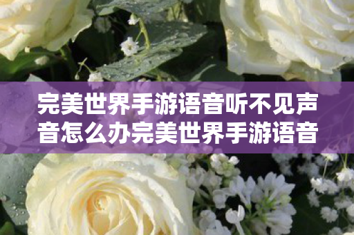 完美世界手游语音听不见声音怎么办完美世界手游语音听不见声音图片