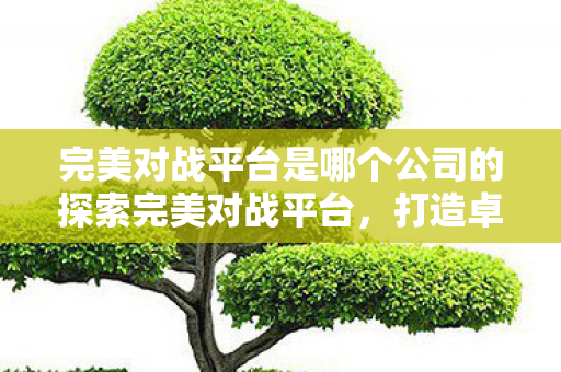 完美对战平台是哪个公司的探索完美对战平台，打造卓越游戏体验的殿堂，探索完美对战平台，打造卓越游戏体验的殿堂