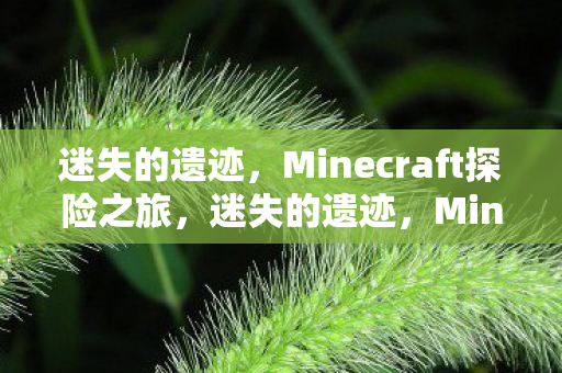迷失的遗迹，Minecraft探险之旅，迷失的遗迹，Minecraft探险之旅