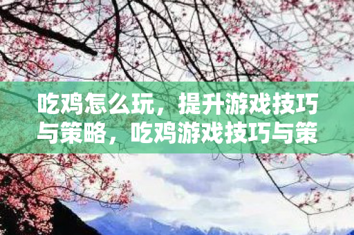 吃鸡怎么玩，提升游戏技巧与策略，吃鸡游戏技巧与策略，如何提升游戏水平