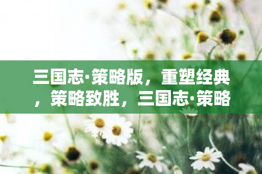 三国志·策略版，重塑经典，策略致胜，三国志·策略版，重塑经典，策略致胜
