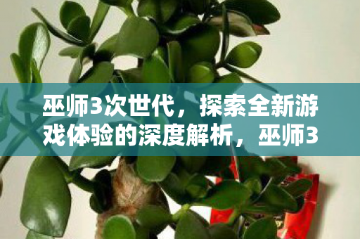 巫师3次世代，探索全新游戏体验的深度解析，巫师3次世代，全新游戏体验的深度探索