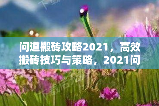 问道搬砖攻略2021，高效搬砖技巧与策略，2021问道高效搬砖攻略，策略与技巧全解析