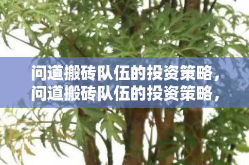 问道搬砖队伍的投资策略，问道搬砖队伍的投资策略，如何高效投资，实现财富增值？