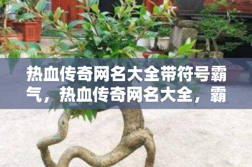 热血传奇网名大全带符号霸气图片