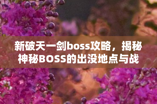 揭秘神秘BOSS的出没地点与战斗策略图片