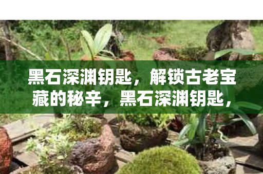 黑石深渊钥匙,解锁古老宝藏的秘辛,黑石深渊钥匙,解锁古老宝藏的秘辛 黑石深渊钥匙,解锁古老宝藏的秘辛,黑石深渊钥匙,解锁古老宝藏的秘辛