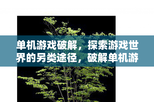 单机游戏破解,探索游戏世界的另类途径,破解单机游戏,探索游戏世界的另类途径 单机游戏破解,探索游戏世界的另类途径,破解单机游戏,探索游戏世界的另类途径