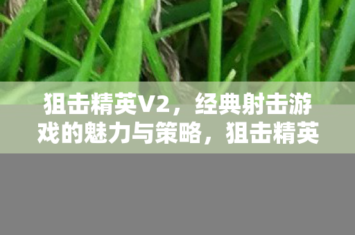 狙击精英V2，经典射击游戏的魅力与策略，狙击精英V2，经典射击游戏的魅力与策略