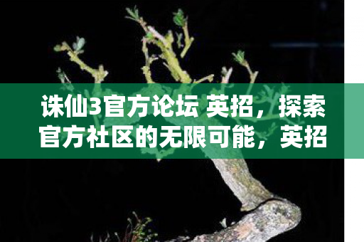 探索诛仙3官方论坛的无限可能图片