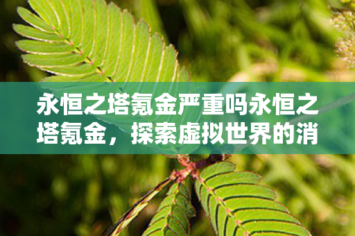 永恒之塔氪金严重吗永恒之塔氪金，探索虚拟世界的消费文化，永恒之塔，探索虚拟世界的消费文化
