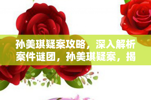 孙美琪疑案攻略，深入解析案件谜团，孙美琪疑案，揭秘案件谜团