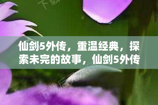 仙剑5外传,重温经典,探索未完的故事,仙剑5外传,重温经典,探索未完的故事 仙剑5外传,重温经典,探索未完的故事,仙剑5外传,重温经典,探索未完的故事