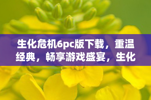 生化危机6pc版下载,重温经典,畅享游戏盛宴,生化危机6 PC版下载,重温经典,畅享游戏盛宴 生化危机6pc版下载,重温经典,畅享游戏盛宴,生化危机6 PC版下载,重温经典,畅享游戏盛宴