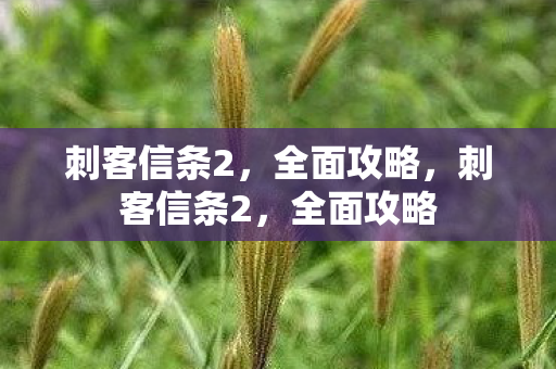 刺客信条2,全面攻略,刺客信条2,全面攻略 刺客信条2,全面攻略,刺客信条2,全面攻略