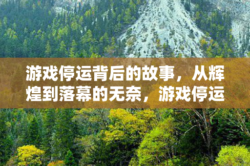 游戏停运背后的故事，从辉煌到落幕的无奈，游戏停运背后的故事，从辉煌到落幕的无奈