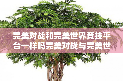 完美对战和完美世界竞技平台一样吗完美对战与完美世界竞技平台图片