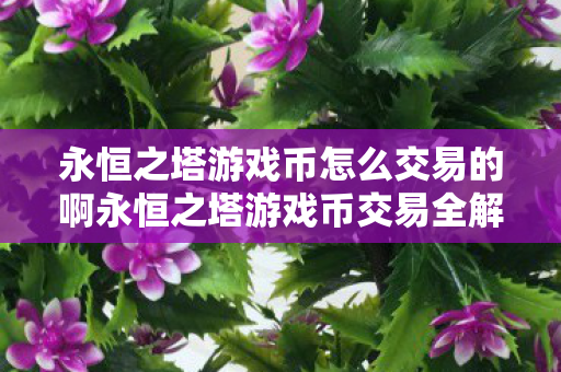 永恒之塔游戏币怎么交易的啊永恒之塔游戏币交易全解析图片