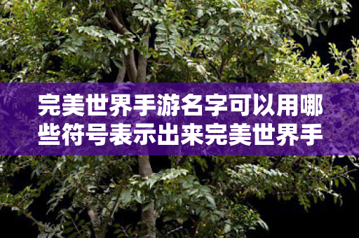 完美世界手游名字可以用哪些符号表示出来完美世界手游名字符号创意指南图片