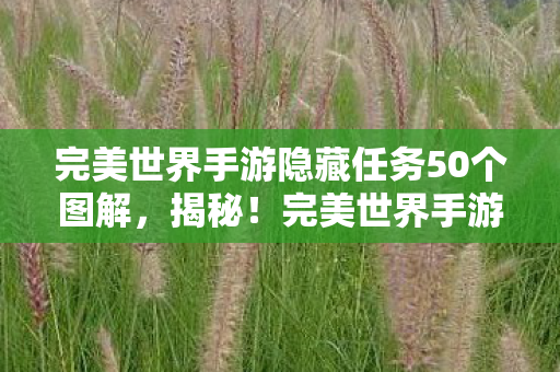 完美世界手游隐藏任务50个图解图片