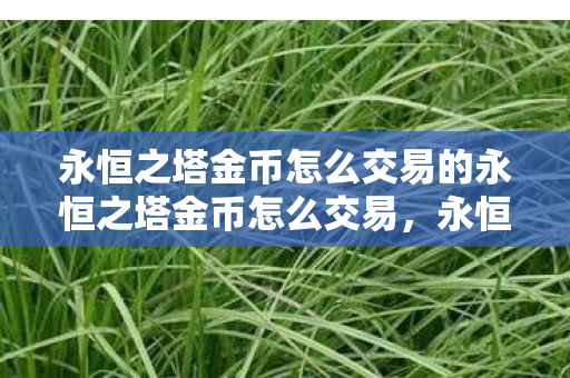 永恒之塔金币怎么交易的永恒之塔金币怎么交易图片