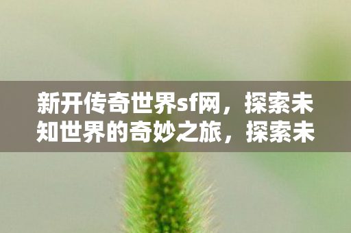 探索未知世界的奇妙之旅图片