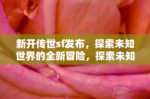 全新传世sf发布冒险开启图片