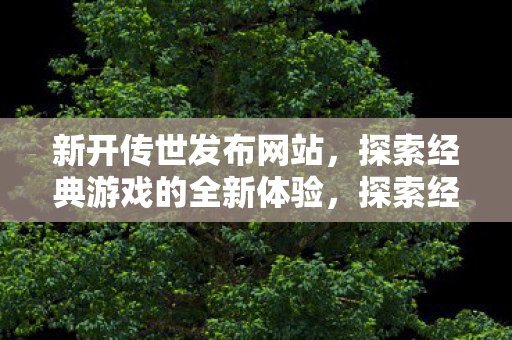 探索经典游戏的全新体验图片