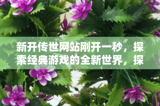 探索经典游戏的全新世界图片