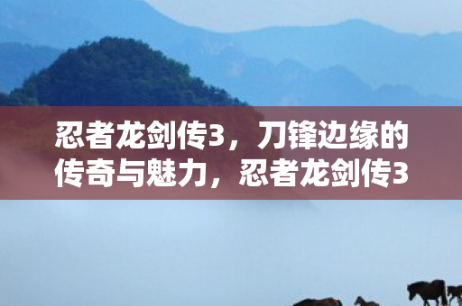 忍者龙剑传3，刀锋边缘的传奇与魅力，忍者龙剑传3，刀锋边缘的传奇冒险与魅力展现