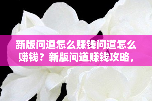 新版问道怎么赚钱问道怎么赚钱?新版问道赚钱攻略,如何快速赚取游戏货币? 新版问道怎么赚钱问道怎么赚钱?新版问道赚钱攻略,如何快速赚取游戏货币?