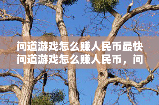 问道游戏怎么赚人民币最快问道游戏怎么赚人民币图片
