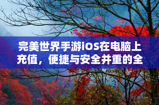 完美世界手游iOS在电脑上充值，便捷与安全并重的全新体验，完美世界手游iOS电脑充值，便捷安全新体验