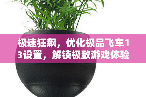 极速狂飙，优化极品飞车13设置，解锁极致游戏体验，解锁极致游戏体验，优化极品飞车13设置